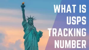Read more about the article What is USPS Tracking Number?|| ParcelTracker.us