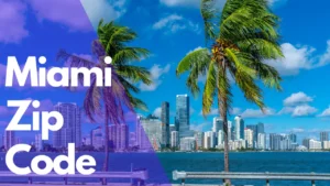 Read more about the article What is the Zip Code of Miami