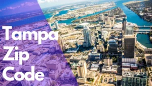 Read more about the article What is the Zip Code of Tampa